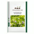 Purple Meadow Rue Non-Hybrid - 50 PCS Seeds
