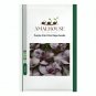 Purple Pak Choi Rape - 500 PCS Seeds