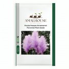 Purple Pampas Ornamental Perennial Plant - 400 PCS Seeds
