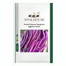 Purple Pleasure Hangzhou Eggplant - 100 PCS Seeds