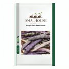 Purple Pole Bean - 10 PCS Seeds