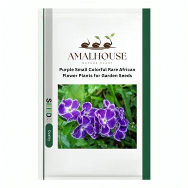 Purple Small Colorful Rare African Flower Plants for Garden - 50 PCS Seeds