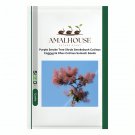 Purple Smoke Tree Shrub Smokebush Cotinus Coggygria Rhus Cotinus Sumach - 30 PCS Seeds