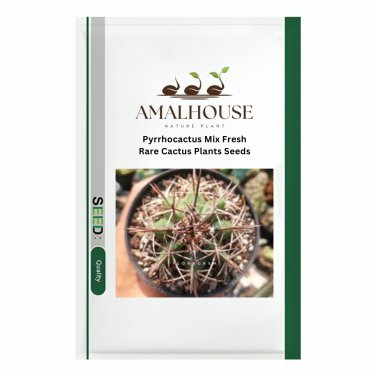 Pyrrhocactus Mix Fresh Rare Cactus Plants - 10 PCS Seeds