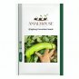 Qinglong Cucumber - 5 PCS Seeds