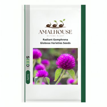 Radiant Gomphrena Globosa Varieties - 200 PCS Seeds