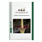 Rainbow Corpse Flower - 50 PCS Seeds