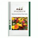 Ranunculus Asiaticus Flower - 50 PCS Seeds