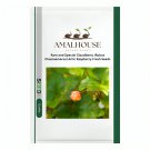 Rare and Special Cloudberry (Rubus Chamaemorus) Artic Raspberry Fresh - 100 PCS Seeds