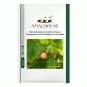 Rare and Special Cloudberry (Rubus Chamaemorus) Artic Raspberry Fresh - 100 PCS Seeds