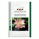 Rare 'Bee' Series Double-Petaled Pink Lotus - 10 PCS Seeds
