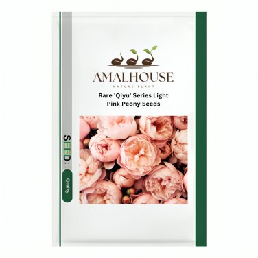 Rare 'Qiyu' Series Light Pink Peony - 20 PCS Seeds