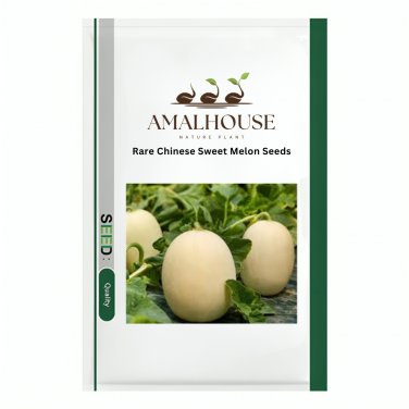 Rare Chinese Sweet Melon - 20 PCS Seeds
