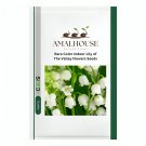 Rare Color Indoor Lily of The Valley Flowers - 200 PCS Seeds