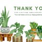 Rare Colorful Orchid Flower Flores Dendrobium Orchid Gorgeous - 100 PCS Seeds