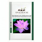 Rare Heirloom Lotus 'Hedeng' Series Light Pink Half-Double-Petaled Beauties - 20 PCS Seeds