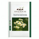 Rare Hierloom Pyrethrum Daisy a natural insect deterrent - 100 PCS Seeds