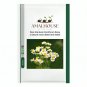 Rare Hierloom Pyrethrum Daisy a natural insect deterrent - 100 PCS Seeds
