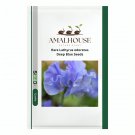 Rare Lathyrus odoratus Deep Blue - 50 PCS Seeds