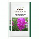 Rare Lathyrus Odoratus Sweet Pea - 50 PCS Seeds