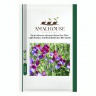 Rare Lathyrus odoratus Sweet Pea Pink, Light Purple, and Blue Multicolor Mix - 50 PCS Seeds