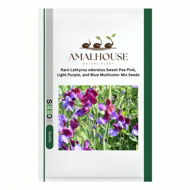 Rare Lathyrus odoratus Sweet Pea Pink, Light Purple, and Blue Multicolor Mix - 50 PCS Seeds