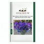 Rare Lathyrus Odoratus Sweet Pea Purple with Deep Purple Accents - 50 PCS Seeds
