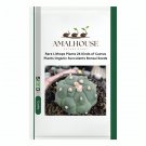Rare Lithops Plants 24 Kinds of Cactus Plants Organic Succulents Bonsai - 100 PCS Seeds