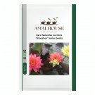 Rare Nelumbo nucifera 'Shoushen' Series - 20 PCS Seeds