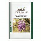 Rare Orchid Man Flowers Monkey Orchid - 100 PCS Seeds