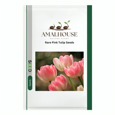 Rare Pink Tulip - 100 PCS Seeds