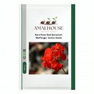 Rare Rose Red Geranium 'Meifangju' Series - 10 PCS Seeds