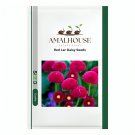 Red Lar Daisy - 500 PCS Seeds