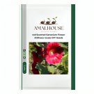 red Scented Geranium Flower (Althaea rosea) DIY - 50 PCS Seeds