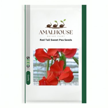 Red Tall Sweet Pea - 100 PCS Seeds