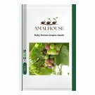 Ruby Roman Grapes - 15 PCS Seeds