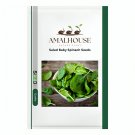 Salad Baby Spinach - 10 PCS Seeds