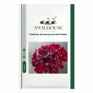 Scabiosa Atropurpurea Red - 50 PCS Seeds