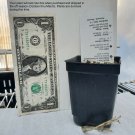 Exclusive hosta ROBERT FROST potted plant --- Click on our store name and shop lots more!