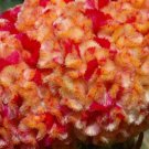 Exclusive 30+ CELOSIA CRISTATA KURUME CORONA COCKSCOMB FLOWER SEEDS / BI-COLOR Exclusive 30+ CELOSIA CRISTATA KURUME CORONA COCKSCOMB FLOWER SEEDS / BI-COLOR
