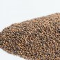 New Arrival 13 oz Arugula- NON GMO microgreen seeds for Sprouting Sprouts