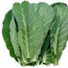 Limited Edition COLLARD GREENS SEED, GEORGIA SOUTHERN, HEIRLOOM, NON GMO ,20+ SEEDS Limited Edition COLLARD GREENS SEED, GEORGIA SOUTHERN, HEIRLOOM, NON GMO ,20+ SEEDS