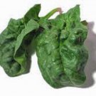 Exclusive SPINACH, BLOOMSDALE LONG STANDING, HEIRLOOM, 25+ SEEDS, GREAT FOR SALADS Exclusive SPINACH, BLOOMSDALE LONG STANDING, HEIRLOOM, 25+ SEEDS, GREAT FOR SALADS