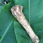 Premium Horseradish Root, Sauget, 5 Pound (Sold by Weight). -