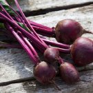 Exclusive 2 oz Beet Seeds for Microgreens, NON GMO