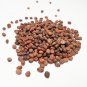 New Arrival Rambo Radish 2 Ounce Microgreen Sprouting Seeds