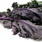 New Arrival Red Kale 14 Ounces Microgreen Sprouting Seeds