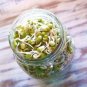Exclusive 16 oz Mung Bean