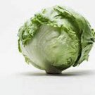 Limited Edition LETTUCE, ICEBERG, LARGE HEAD, HEIRLOOM 1000+ SEEDS, SWEET CRISP LETTUCE