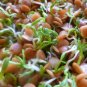 New Arrival 8 oz Red Lentils